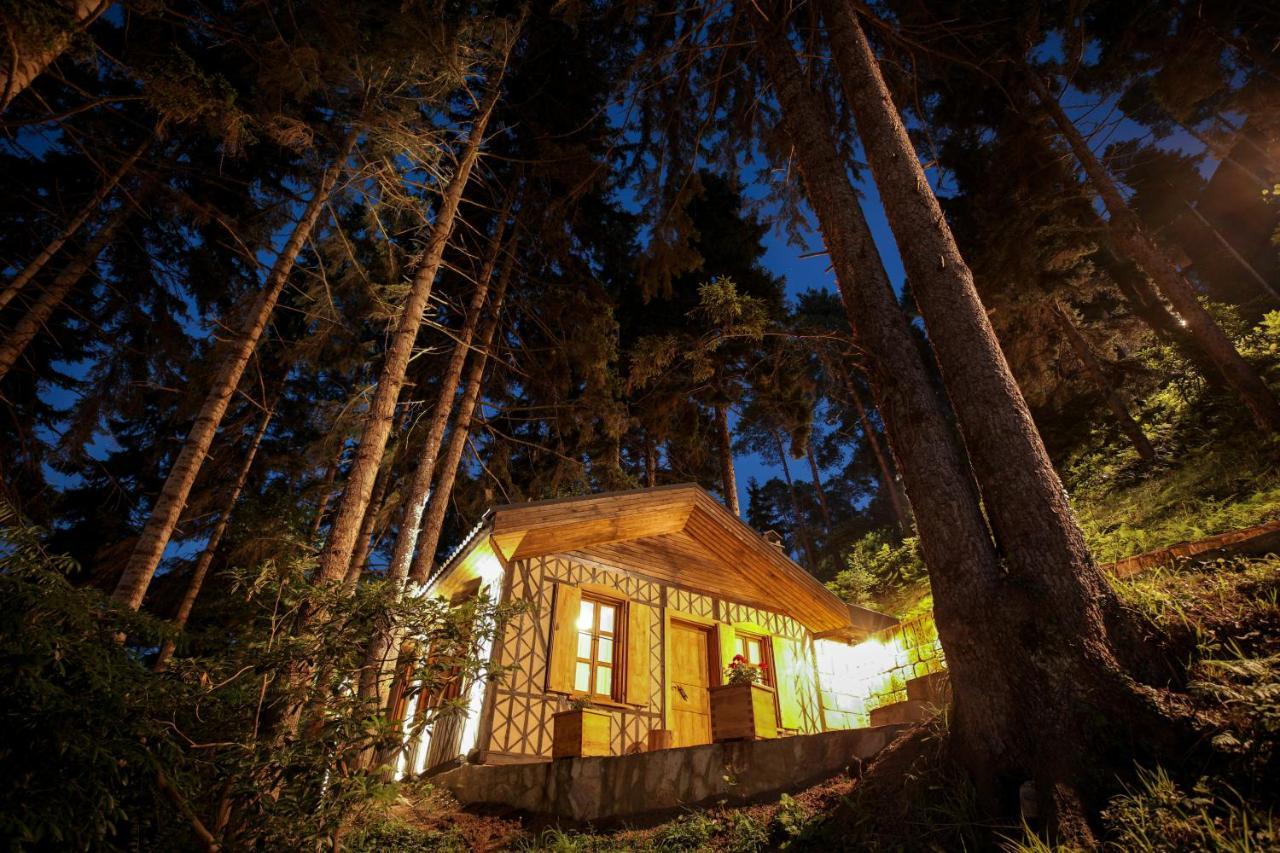 Hancioglu Orman Evleri & Hotel Trabzon Exteriér fotografie