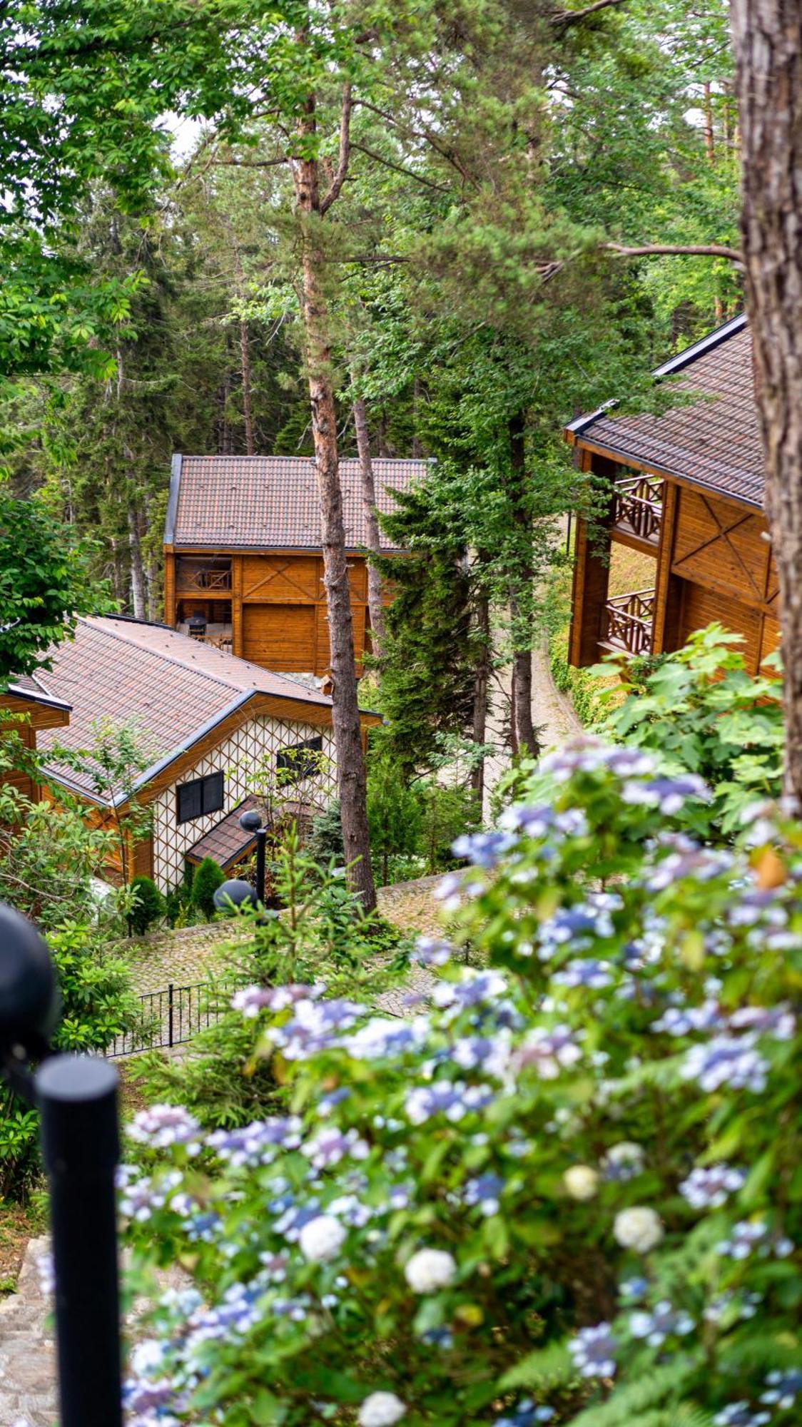 Hancioglu Orman Evleri & Hotel Trabzon Exteriér fotografie