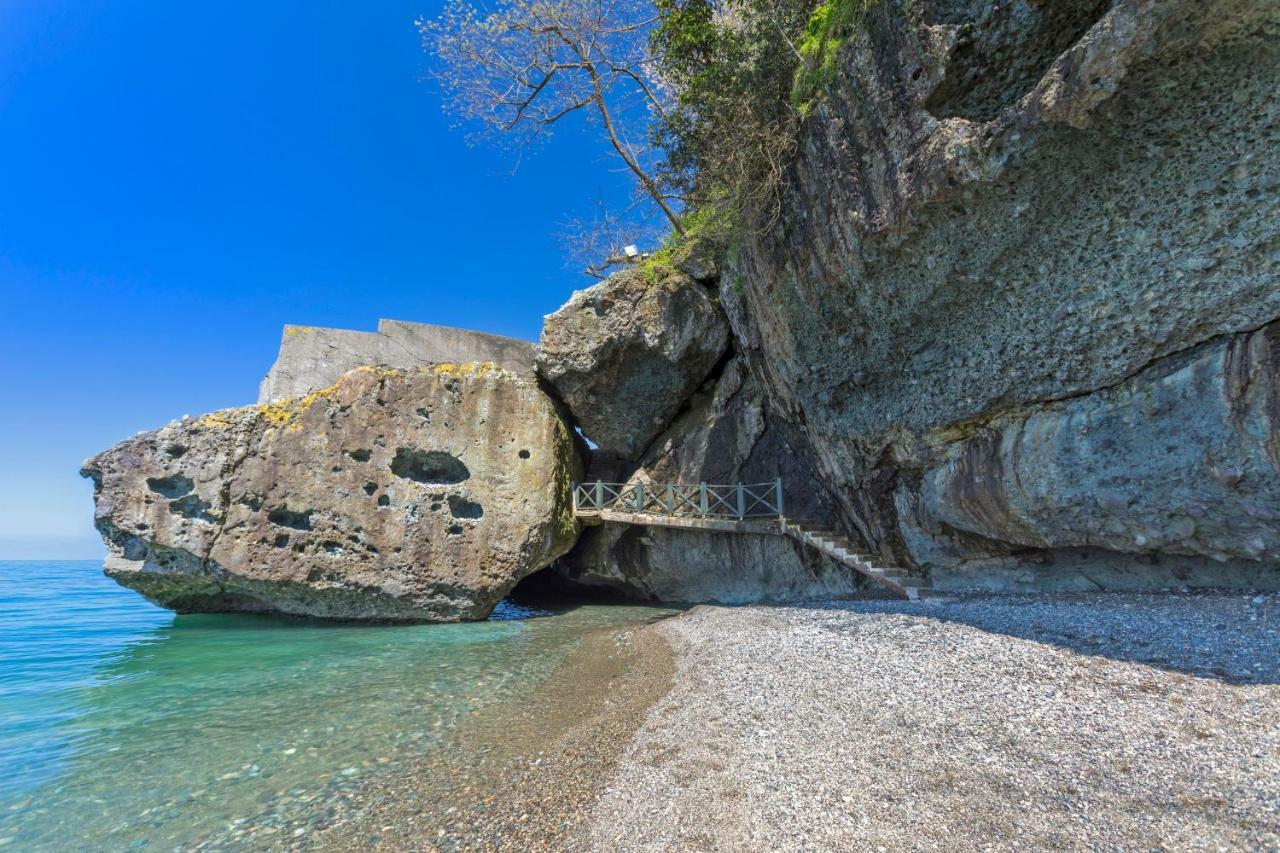 Hancioglu Orman Evleri & Hotel Trabzon Exteriér fotografie