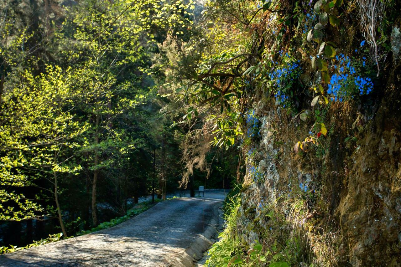 Hancioglu Orman Evleri & Hotel Trabzon Exteriér fotografie