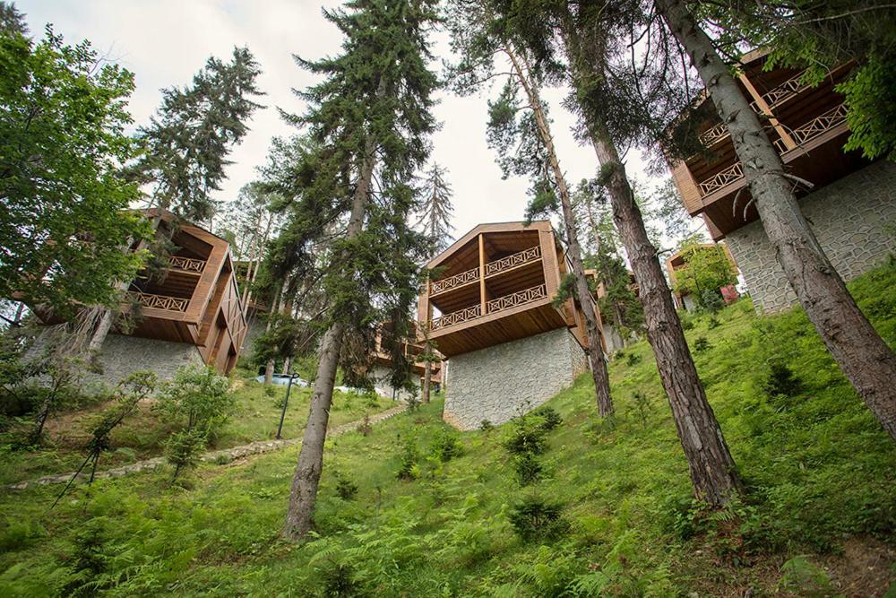 Hancioglu Orman Evleri & Hotel Trabzon Exteriér fotografie