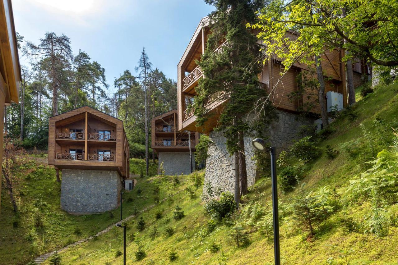 Hancioglu Orman Evleri & Hotel Trabzon Exteriér fotografie